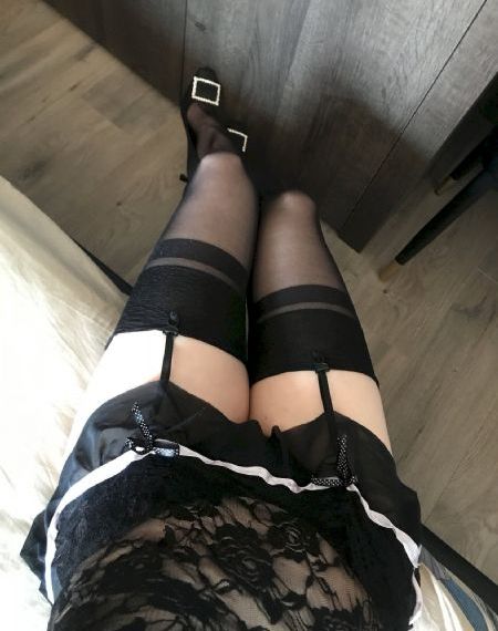 海豚的故事2